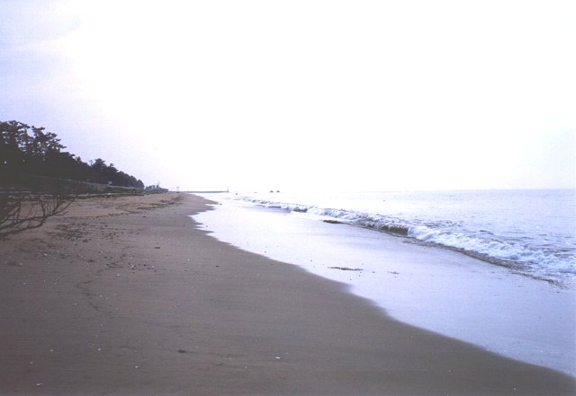 現在の白子浜(北向き)